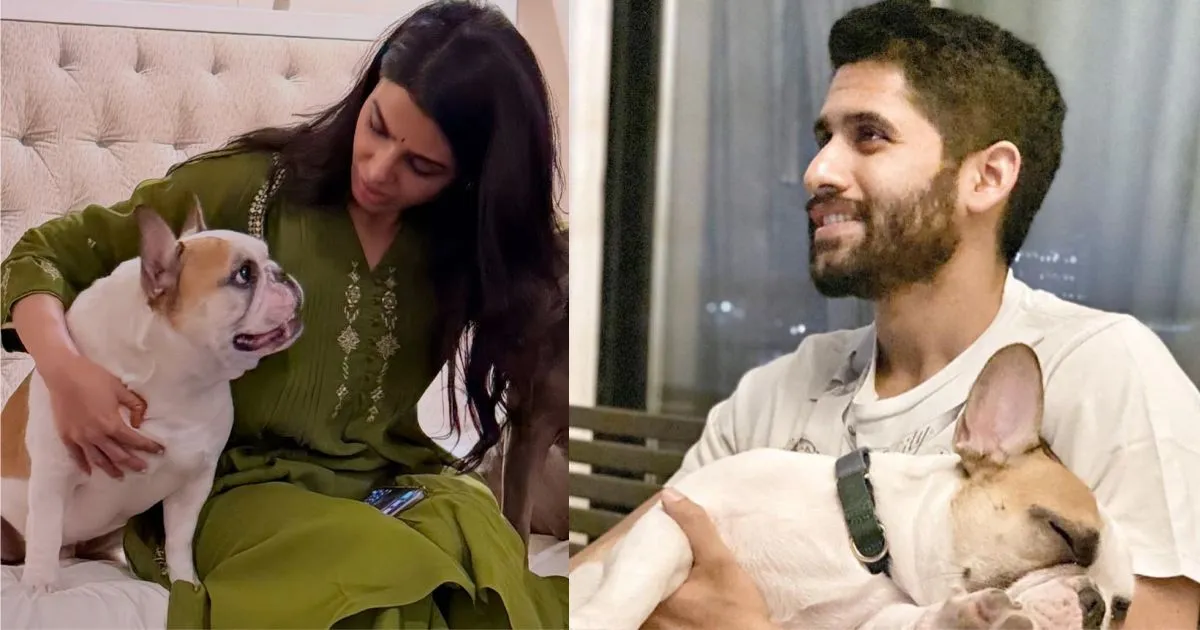 കുട്ടിയല്ല, വളര്‍ത്തുനായയാണ് ബന്ധത്തിന്റെ പാലം; വേര്‍പിരിഞ്ഞിട്ടും സമാന്ത–നാഗ ചൈതന്യ ബന്ധം ചര്‍ച്ചയാകുന്നു